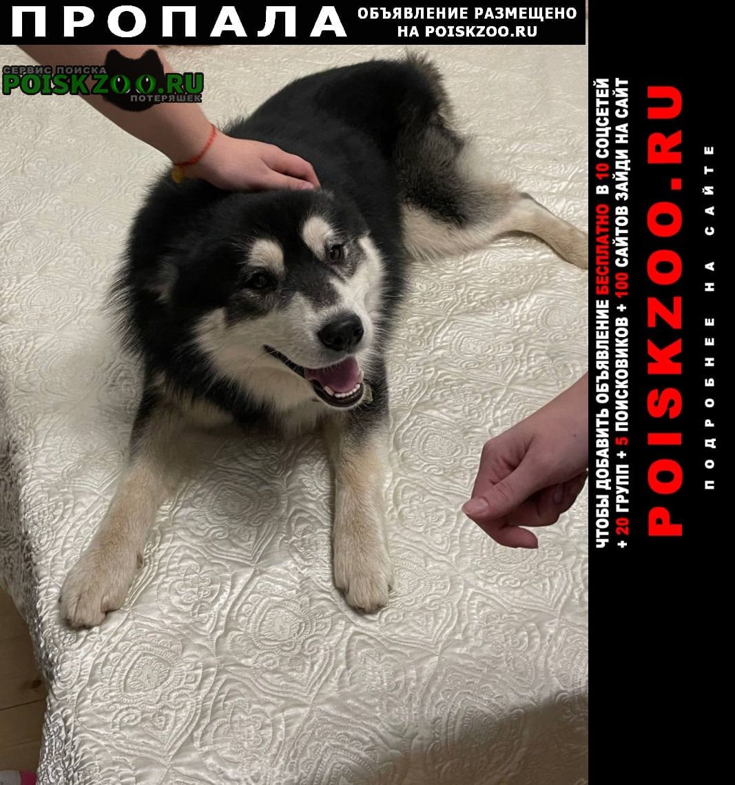 ���� ������� ������ ������ �����