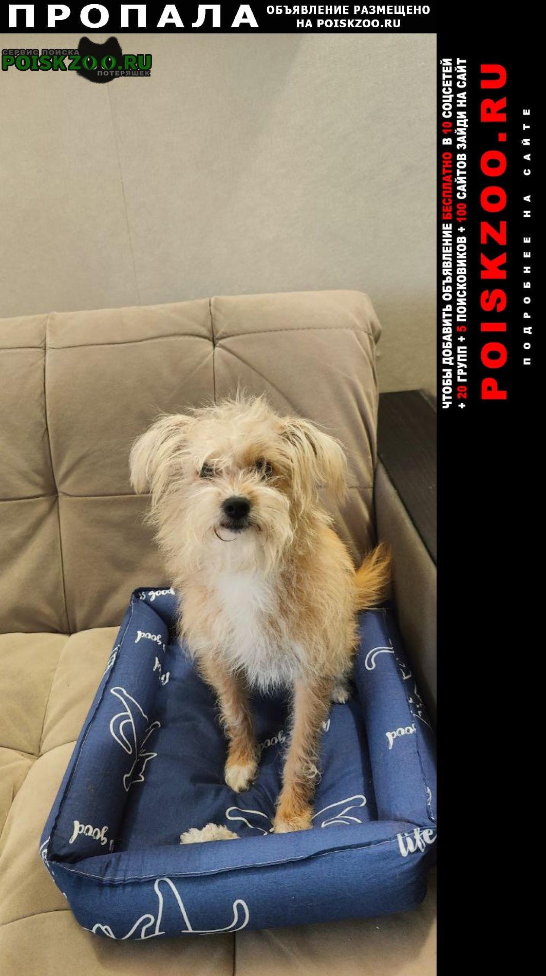 ���� ������� ������