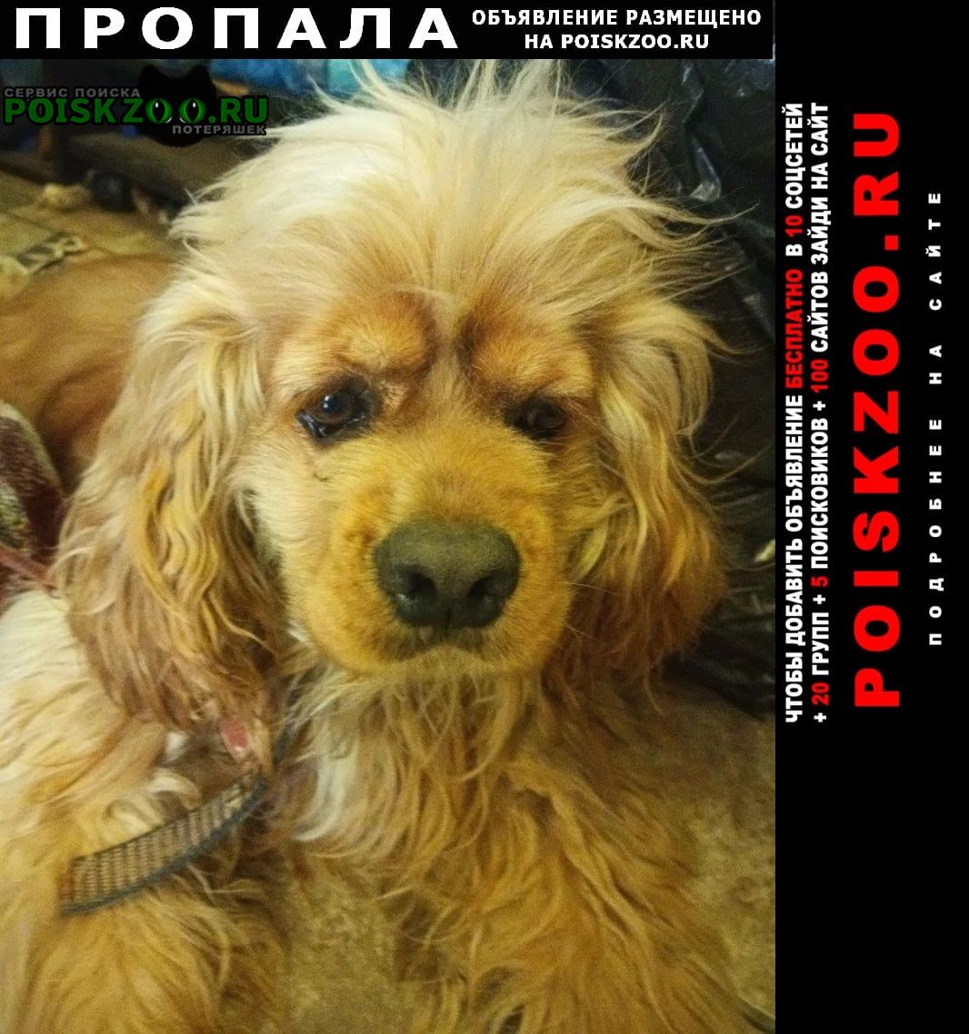 ���� ������� ������ ������