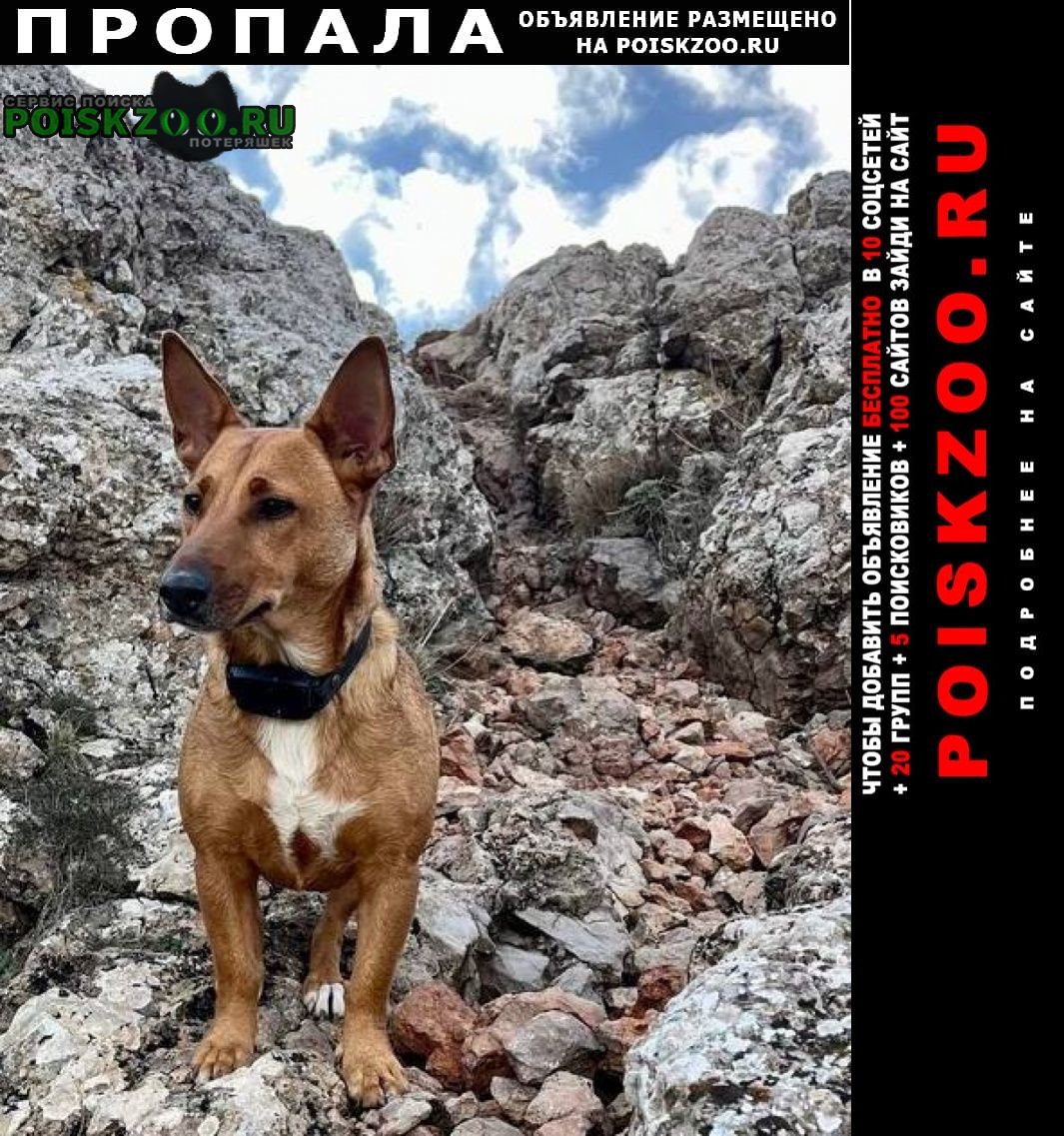 ���� ������� ������