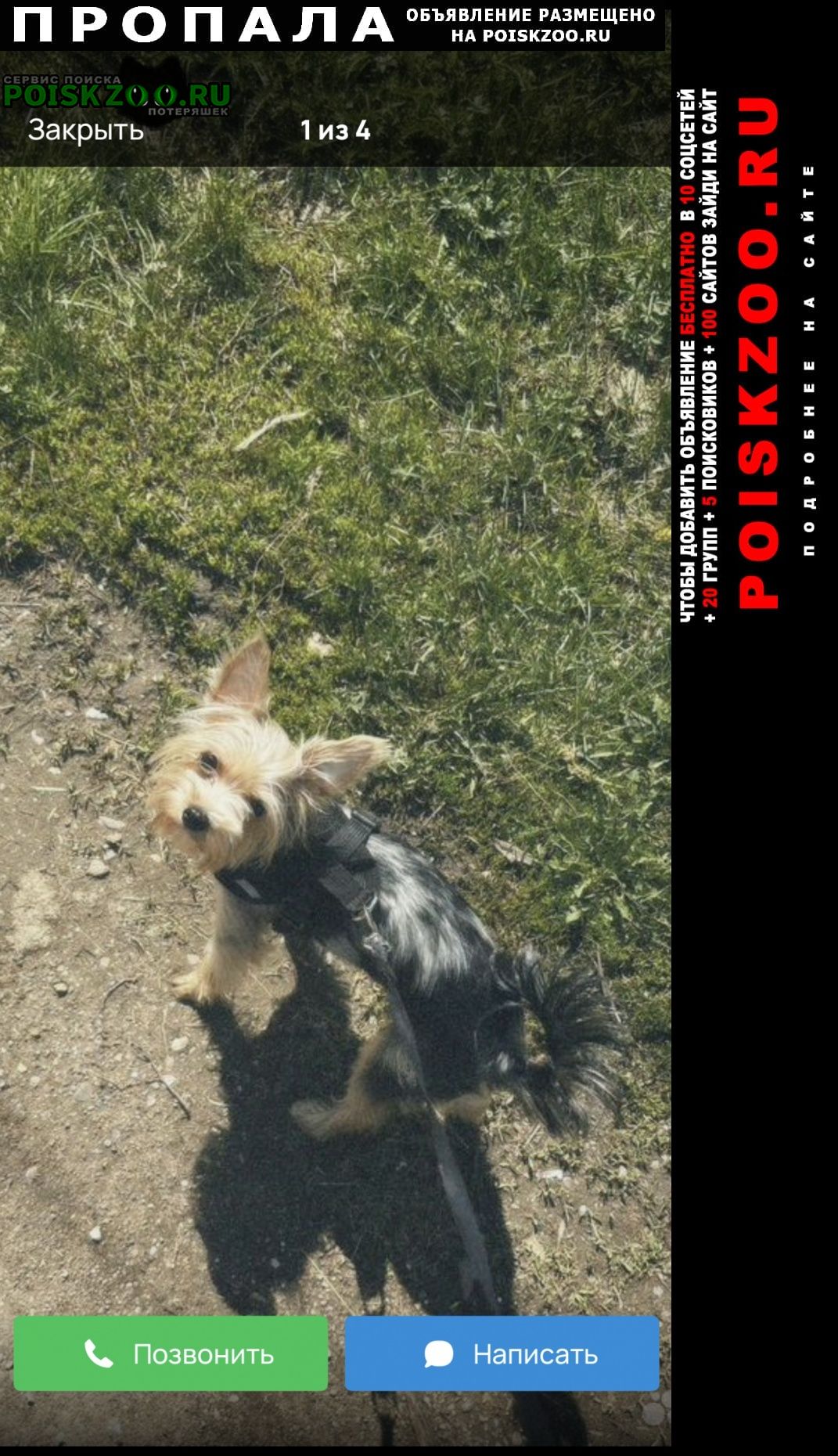 ���� ������� ������ ������ ���-�����