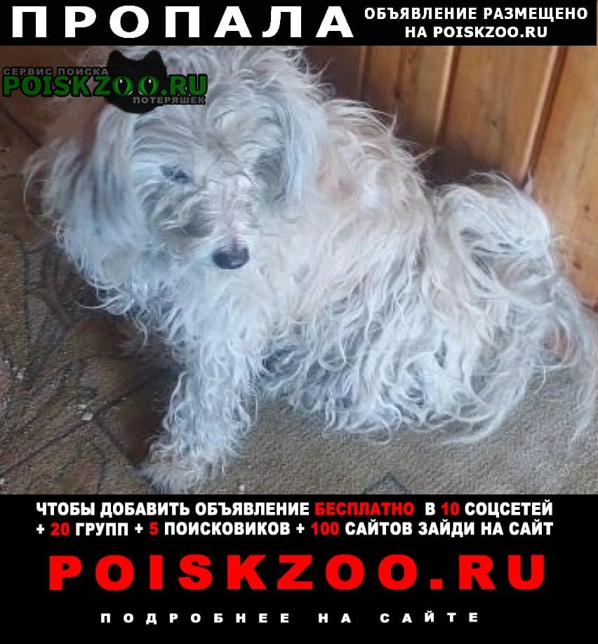 ���� ������� ������ ������