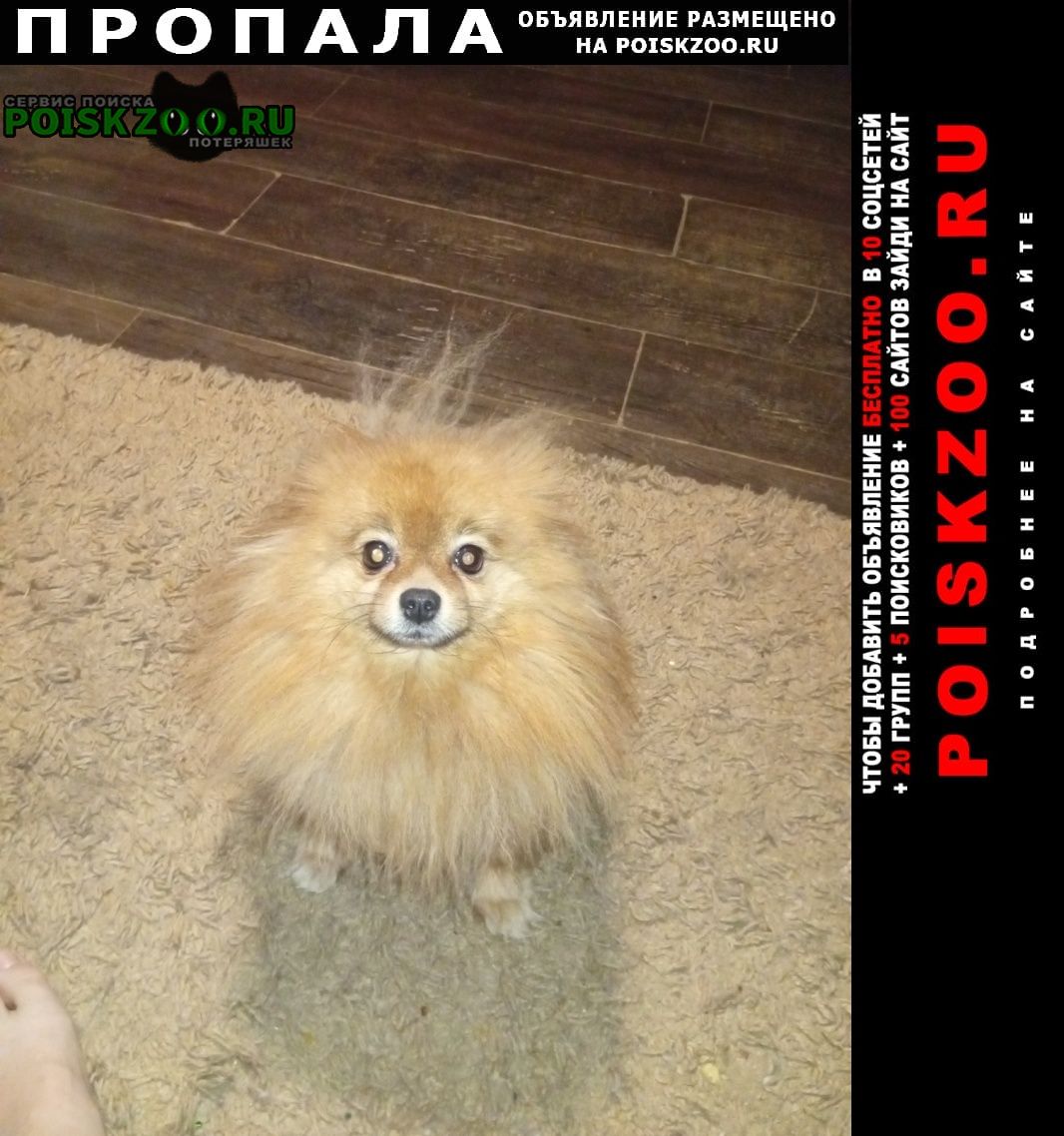 ���� ������� ������