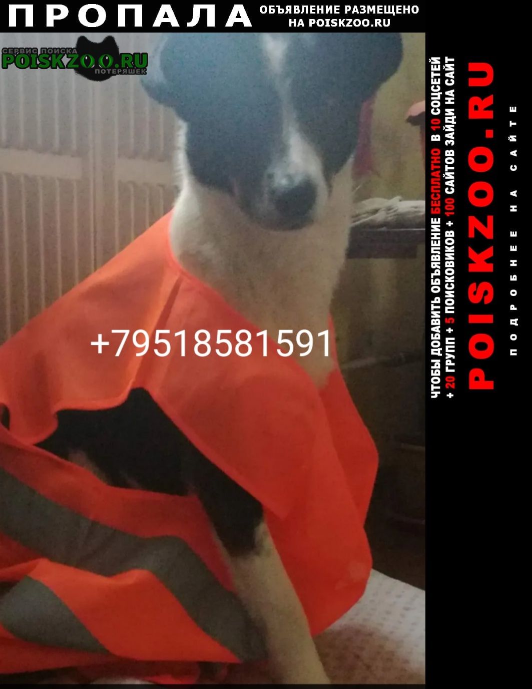 ���� ������� ������ ������