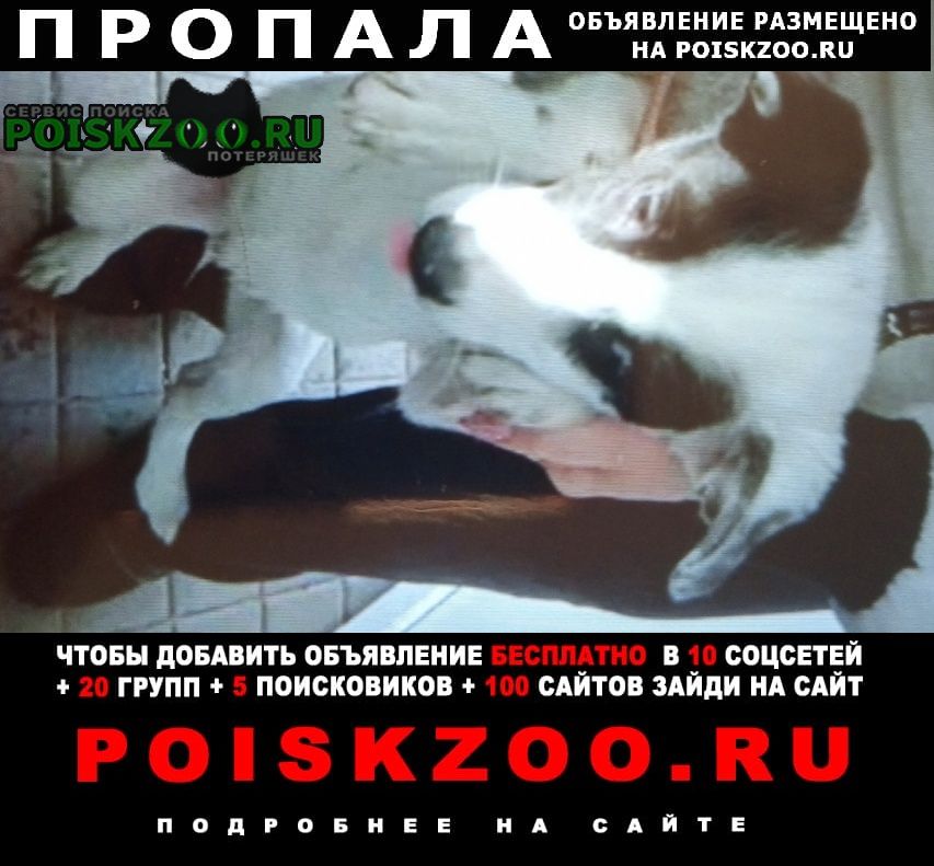 ���� �������� ����� �����