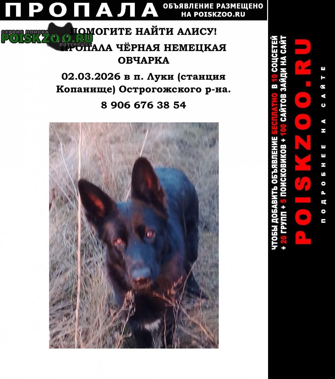 ���� ������� ������ �������� ������ �������