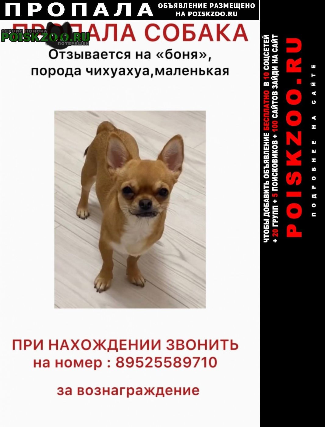 ���� ������� ������ � ������� �������� ������