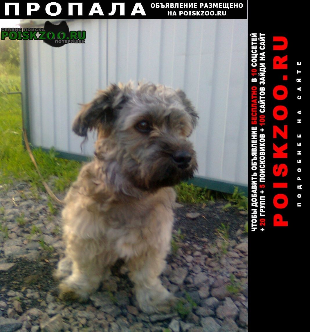 ���� ������� ������ ������