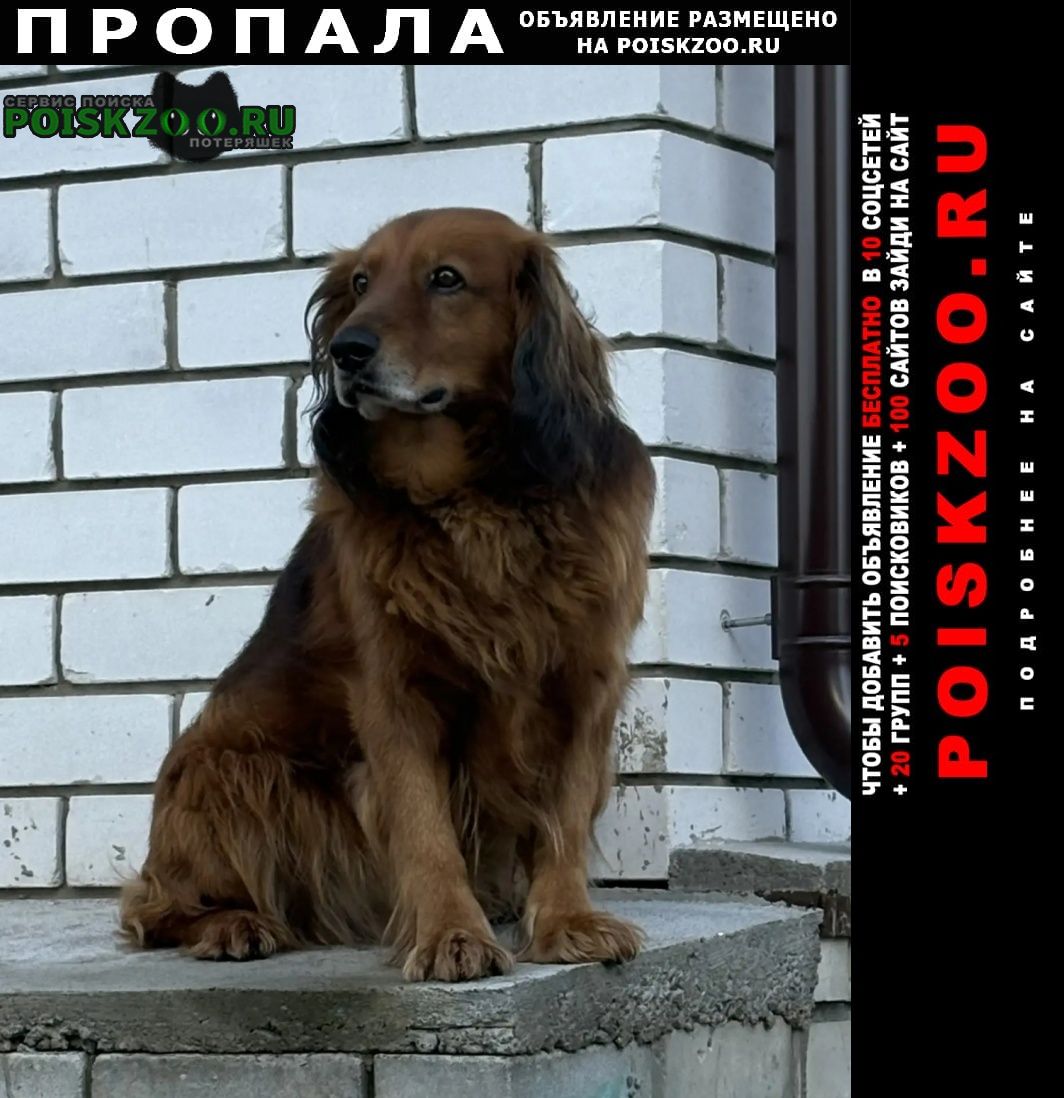 ���� ������� ������ ������ ������� (������) ���