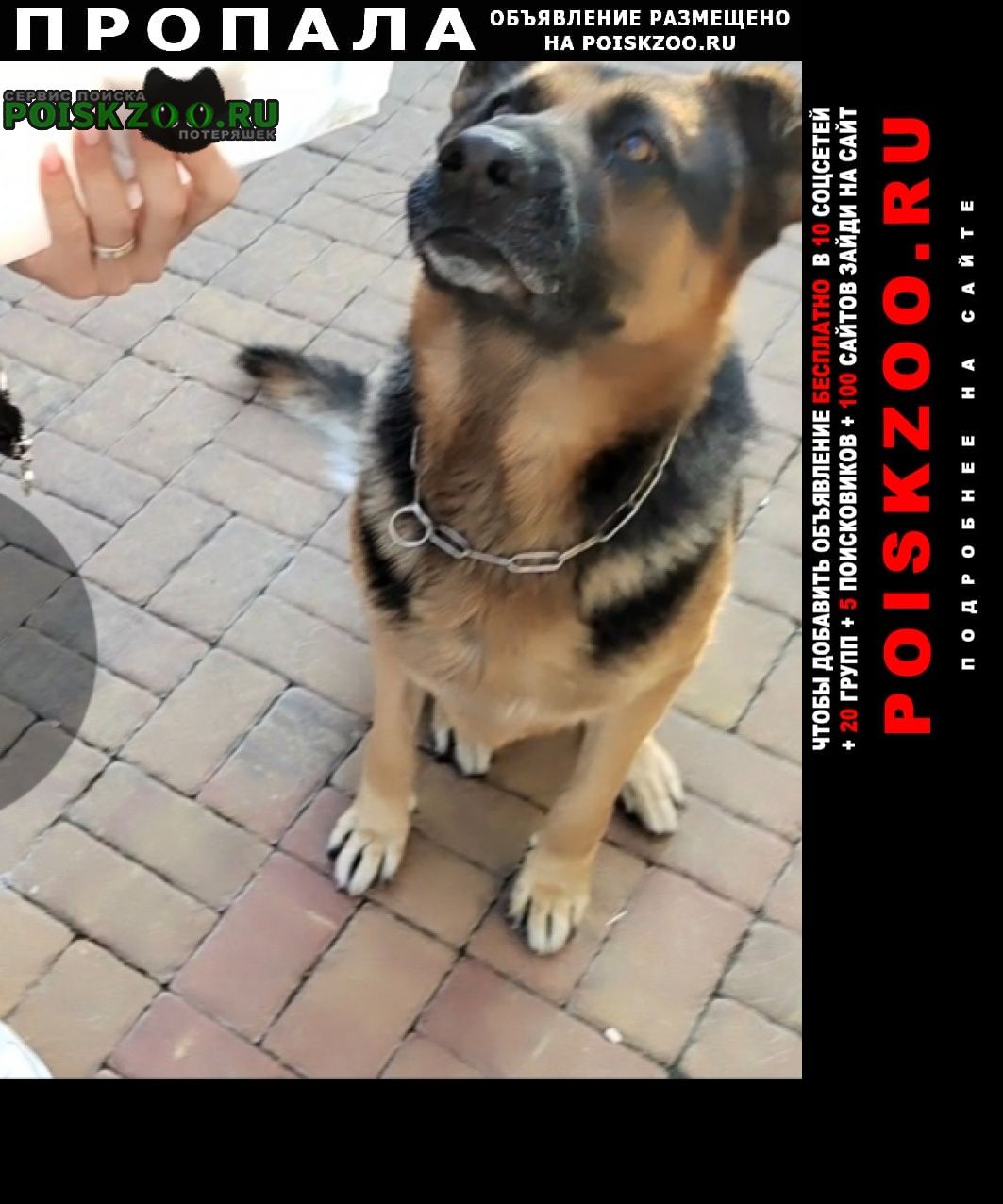 ���� ������� ������ ������ ����, ����.