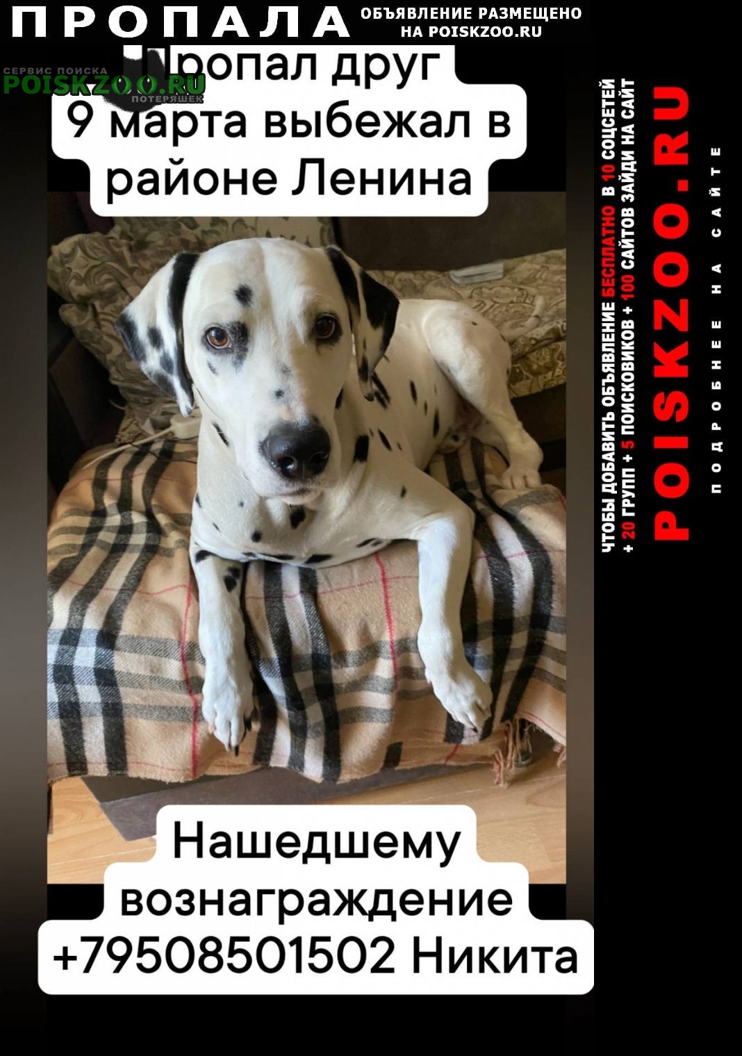 ���� ������� ������ ������ ����������