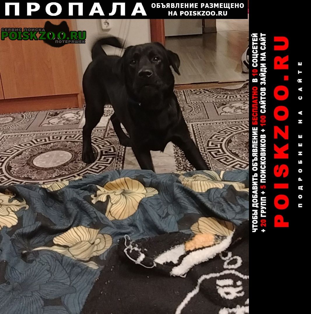 ���� �������� ����� ������ �������� �������� �������