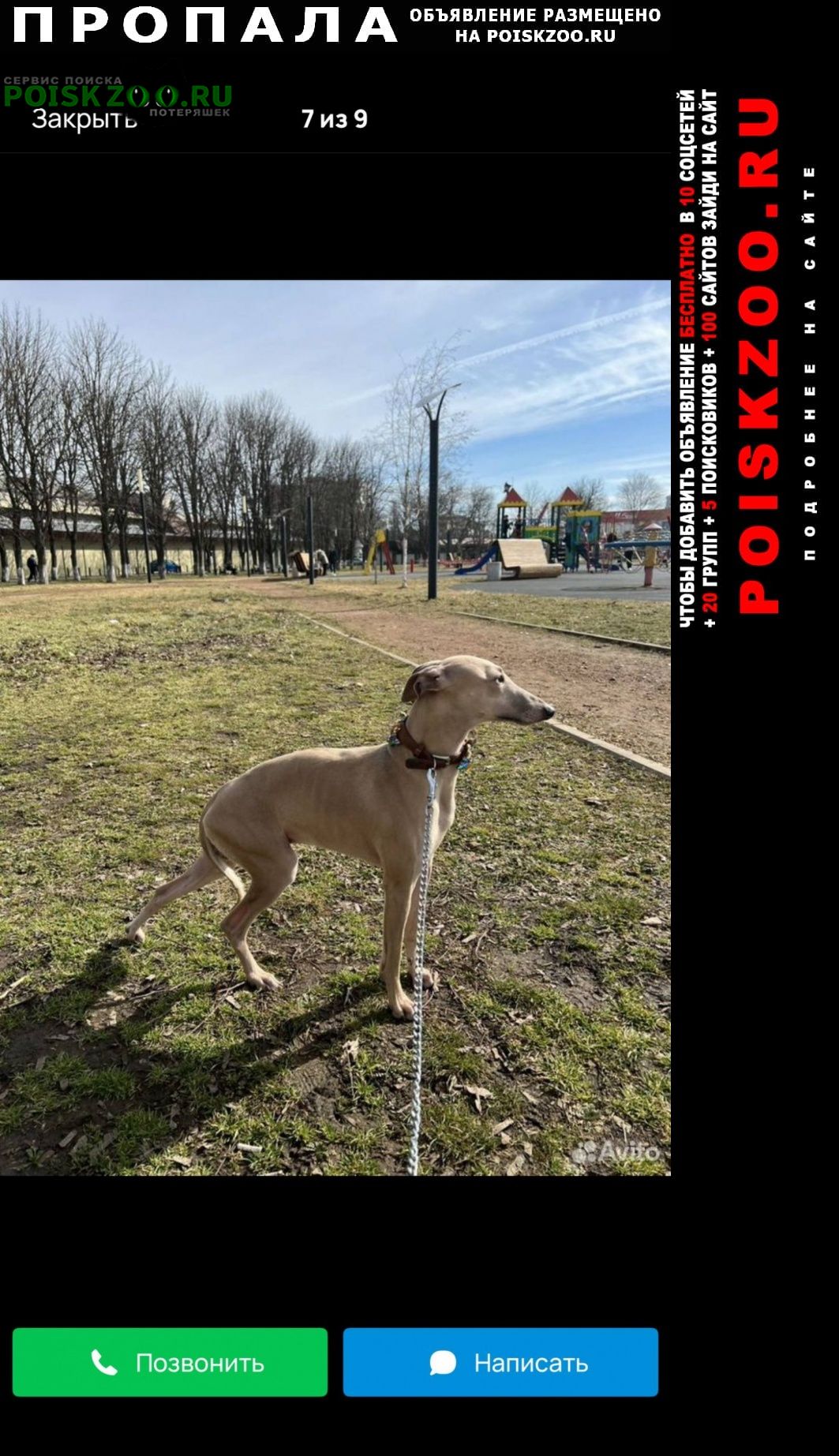 ���� ������� ������ ������, ������ ��������