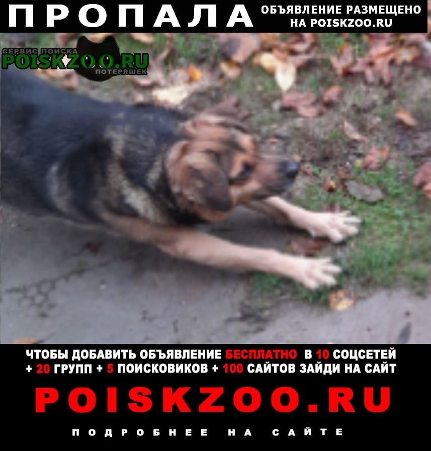 ���� ������� ������ ������ ������� ����