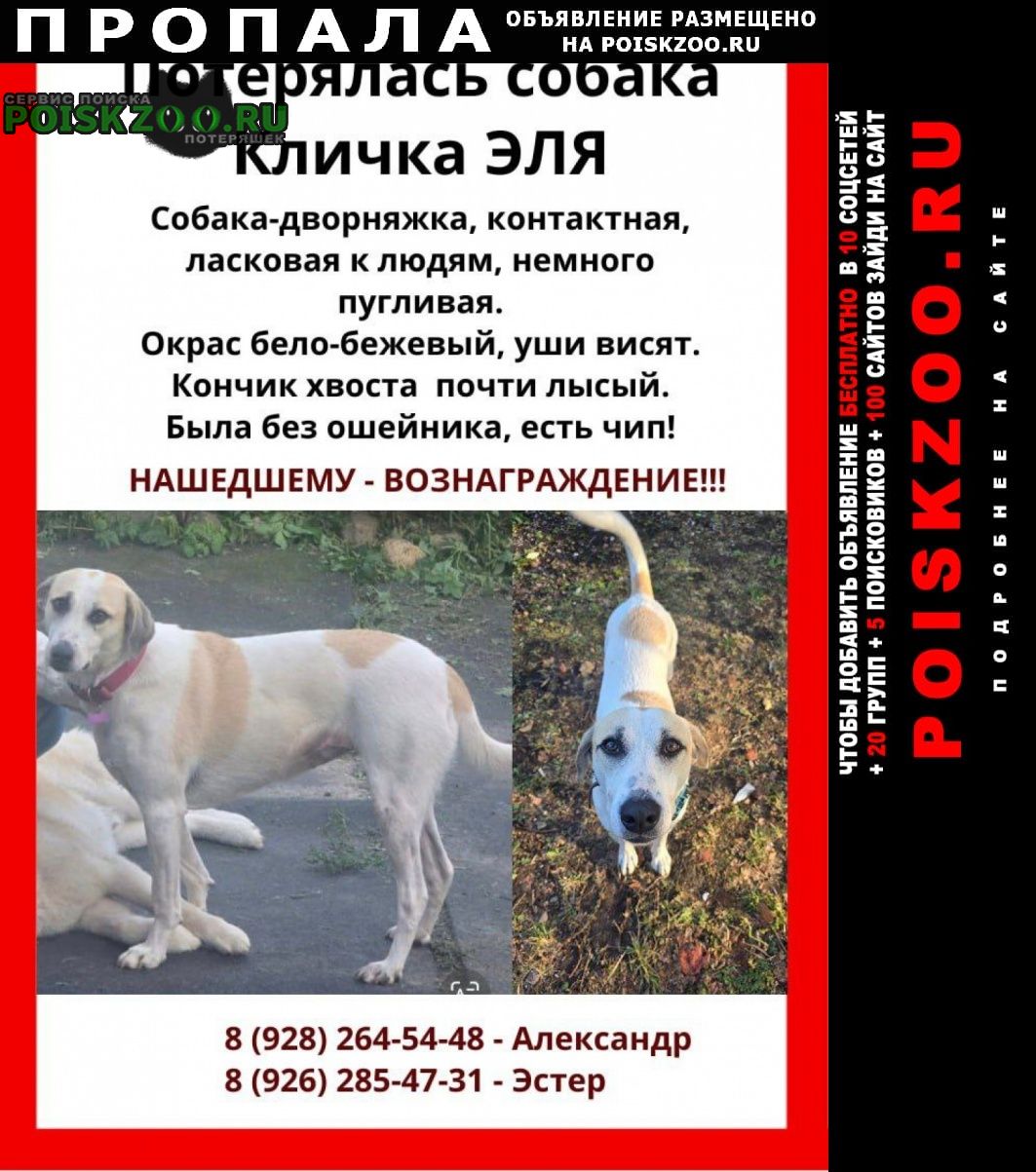 ���� ������� ������ ���� ������. ��������������