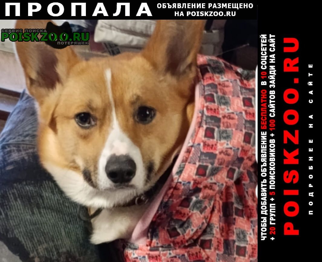 ���� ������� ������ ������ ����� ����� � ����� 15/03/2026