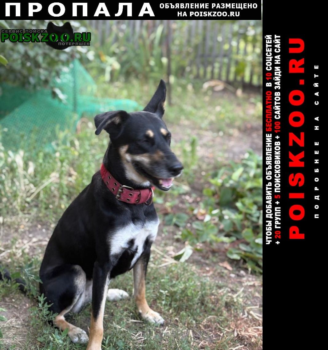 ���� ������� ������