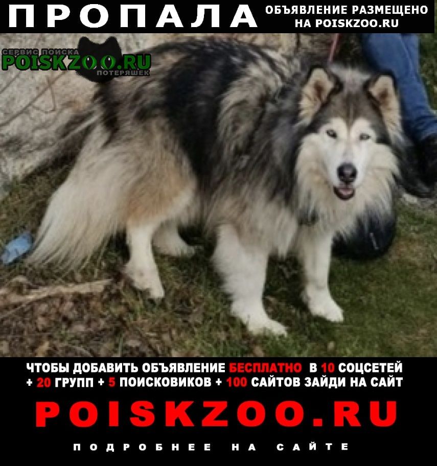 ���� ������� ������ �����