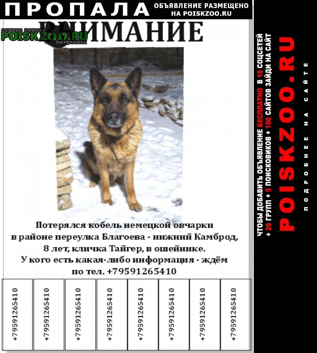 ���� ������� ������ ������