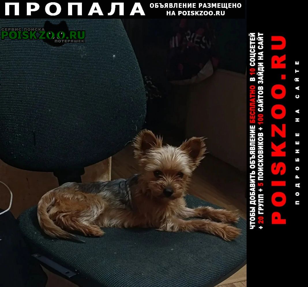 ���� ������� ������ ������ ����������� ������ 3 ����