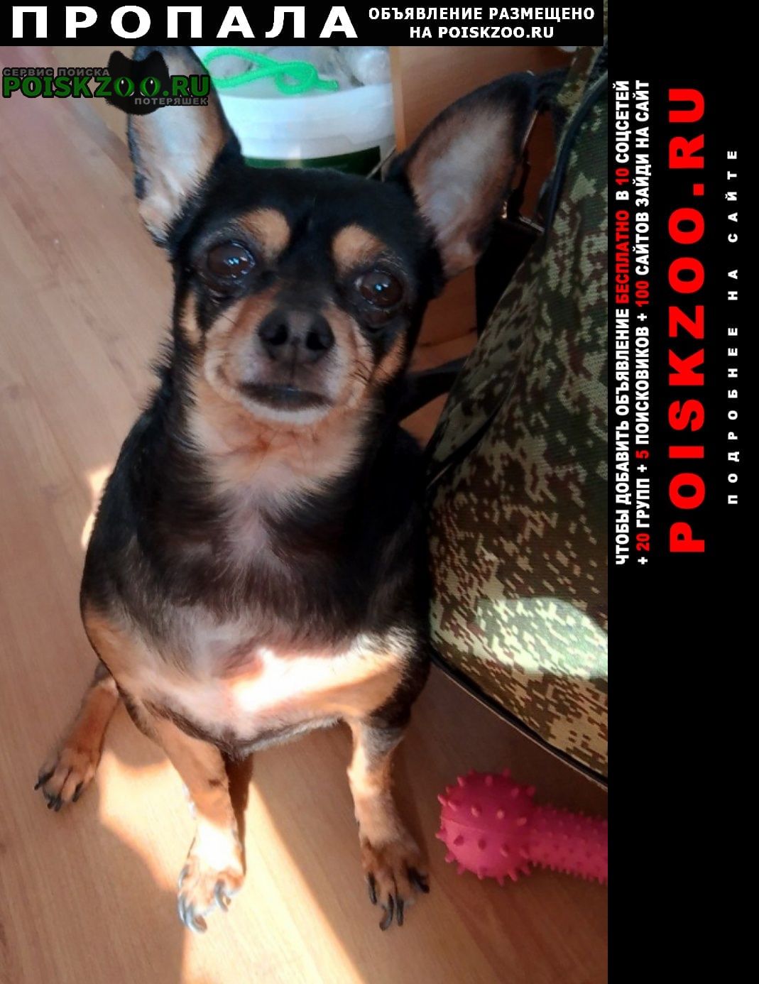 ���� ������� ������ ������