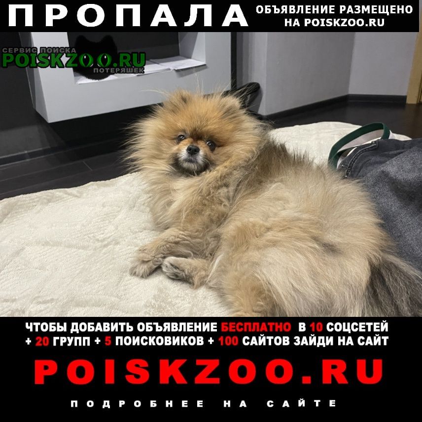 ���� ������� ������ ������ ����������� ����