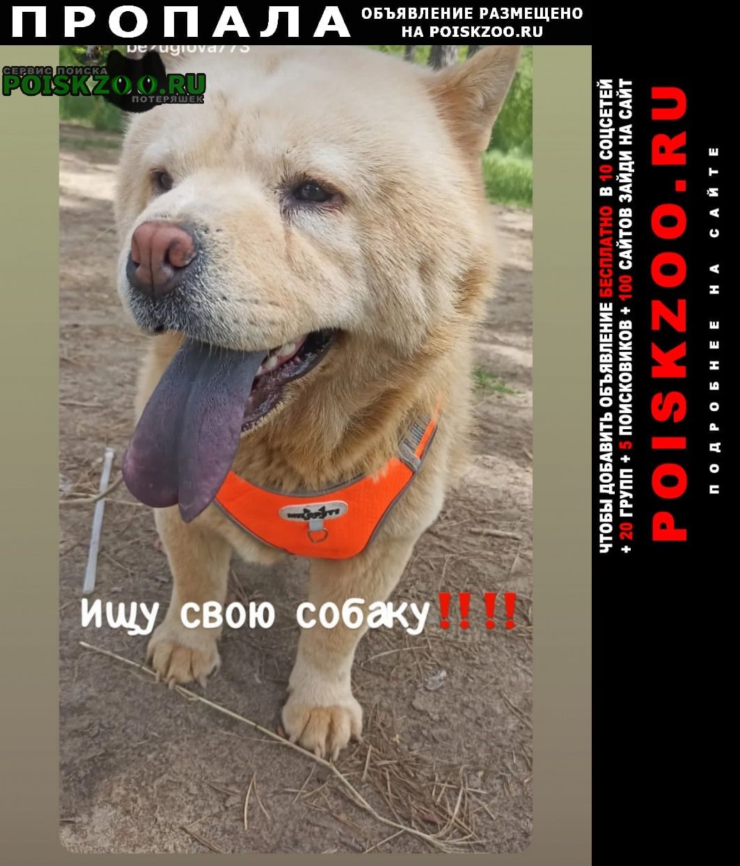 ���� ������� ������