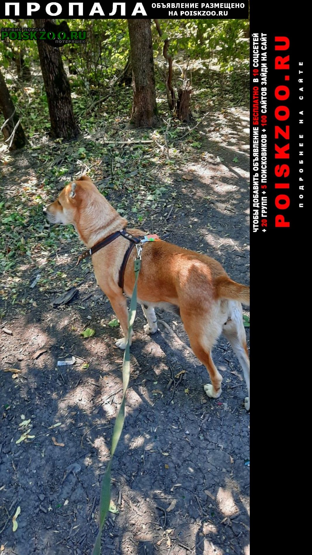 ���� �������� ����� ����� ��������