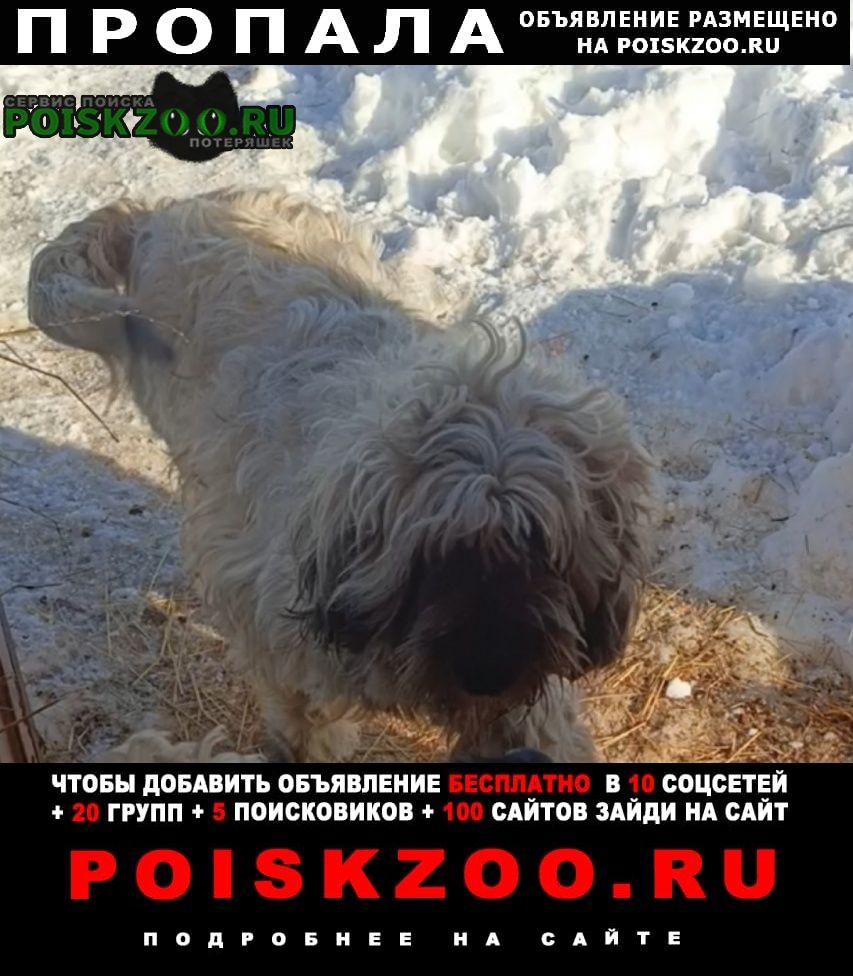 ���� ������� ������ 18. 03 ������� ������