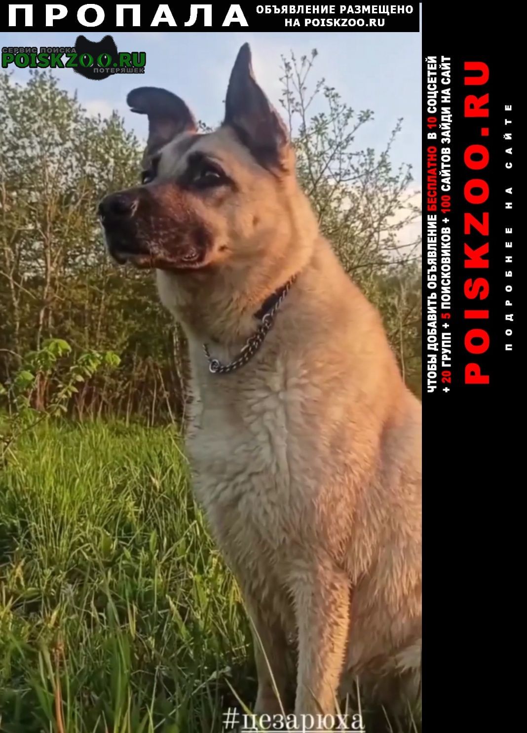 ���� ������� ������ ������