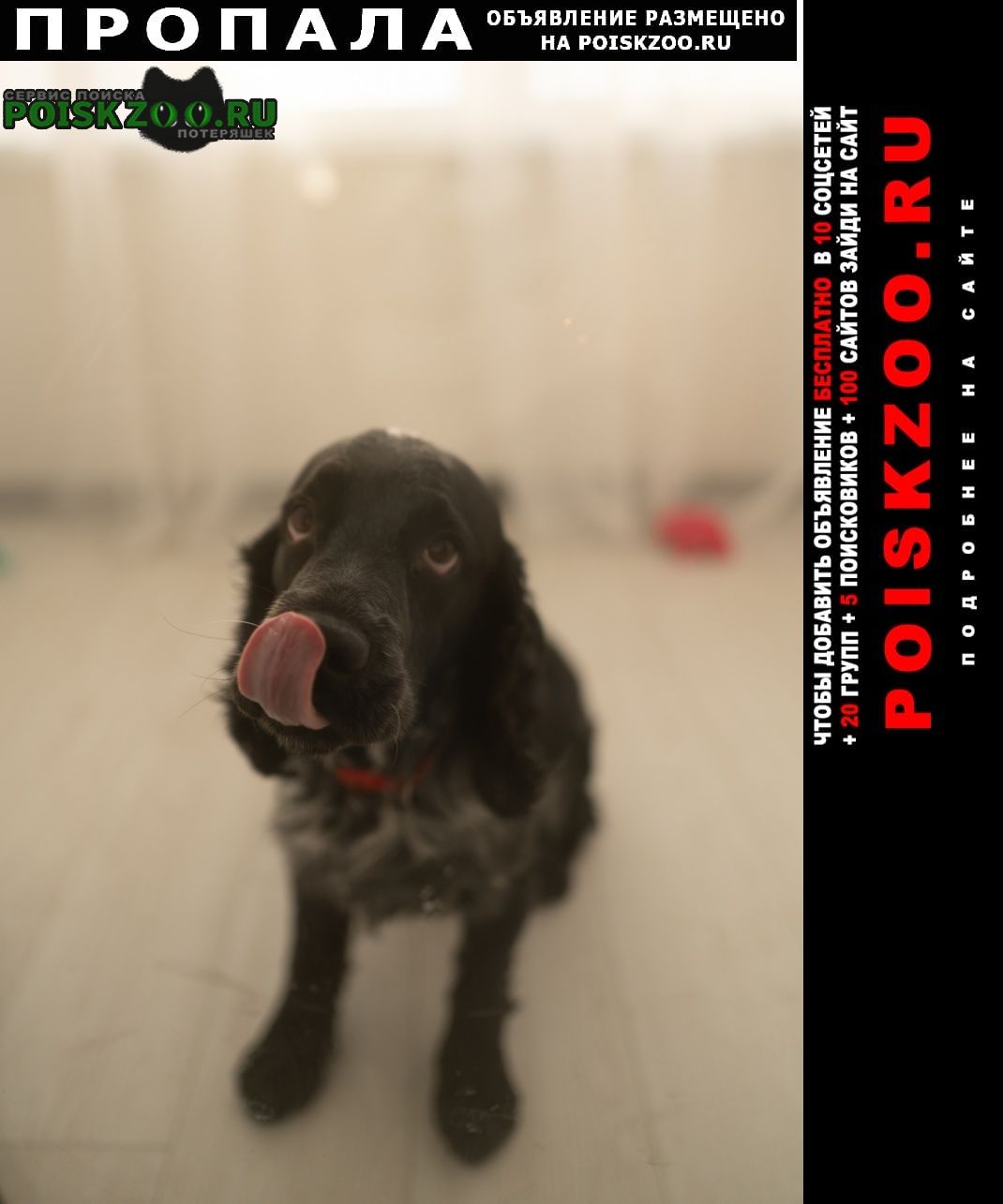 ���� ������� ������ ������ ��� ��������