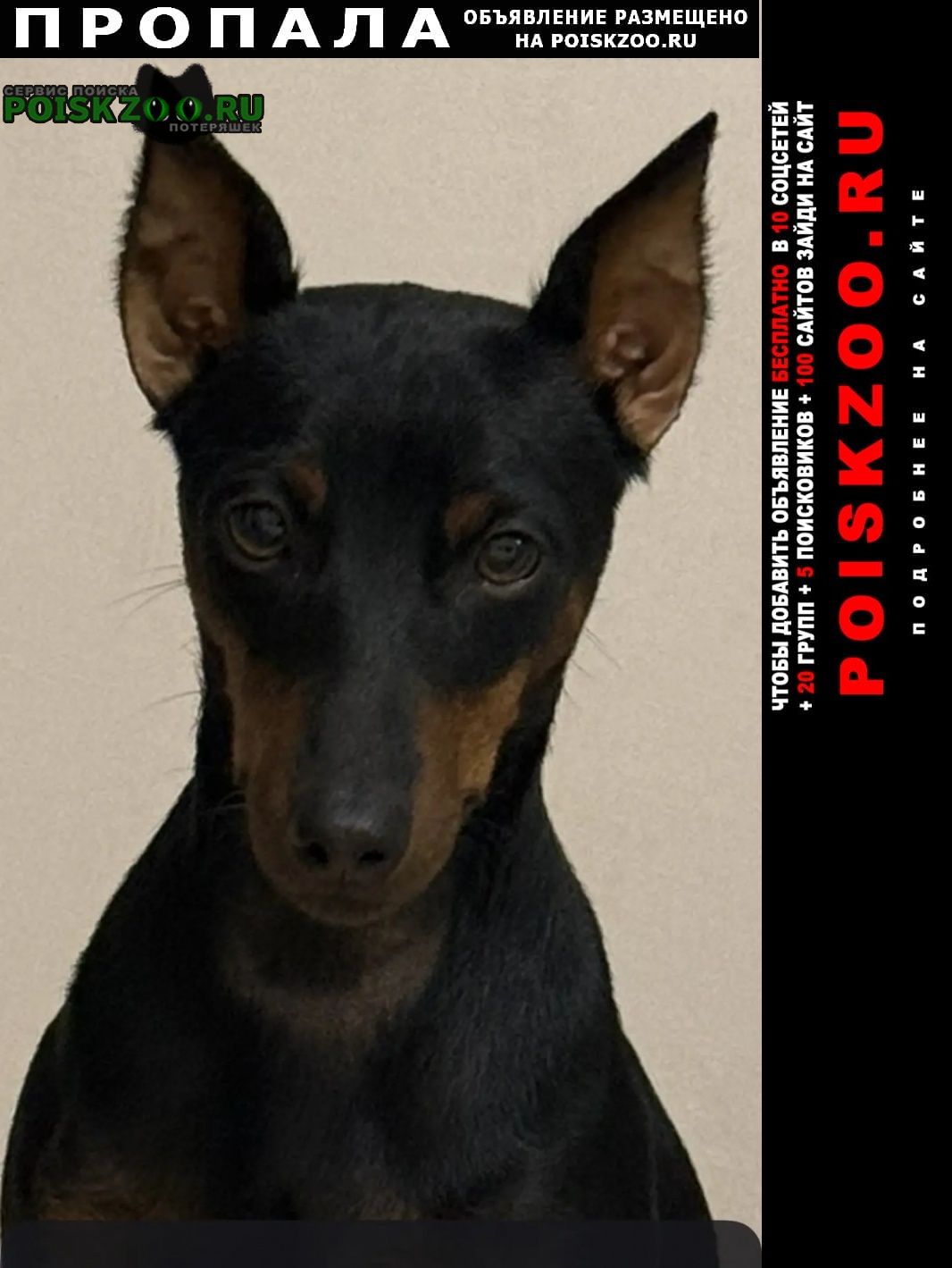 ���� ������� ������ ������