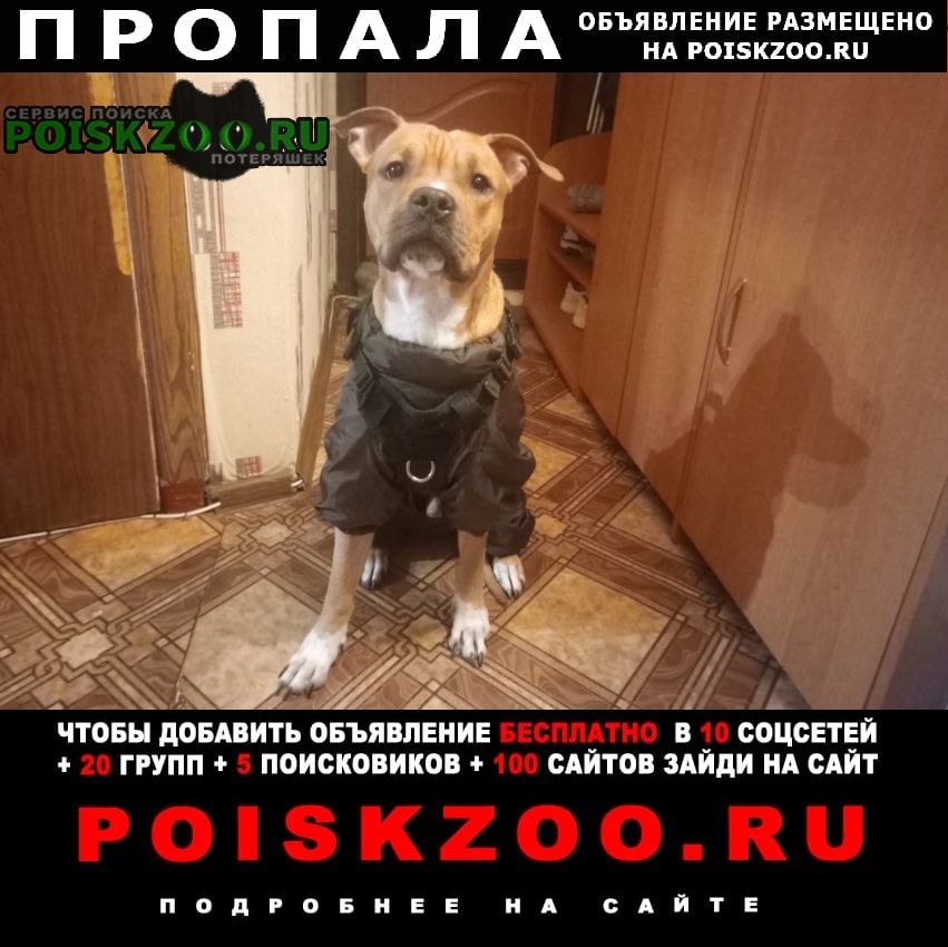 ���� ������� ������ ������