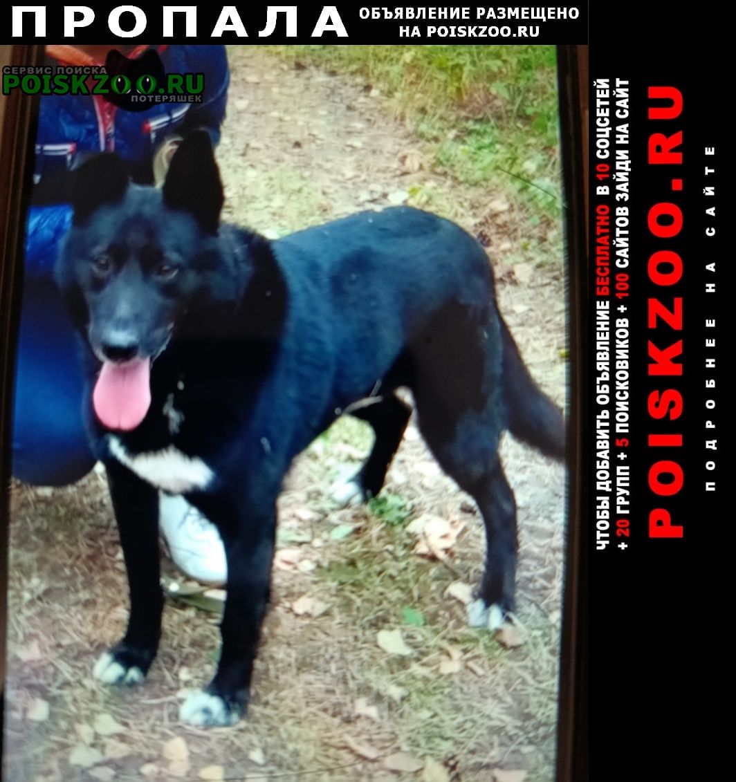 ���� ������� ������ �������� �����