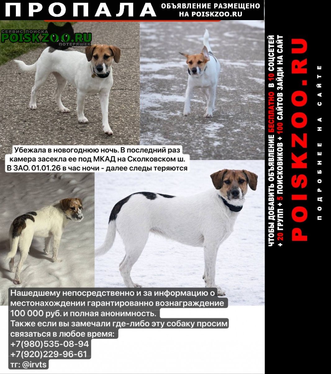 ���� ������� ������ ����