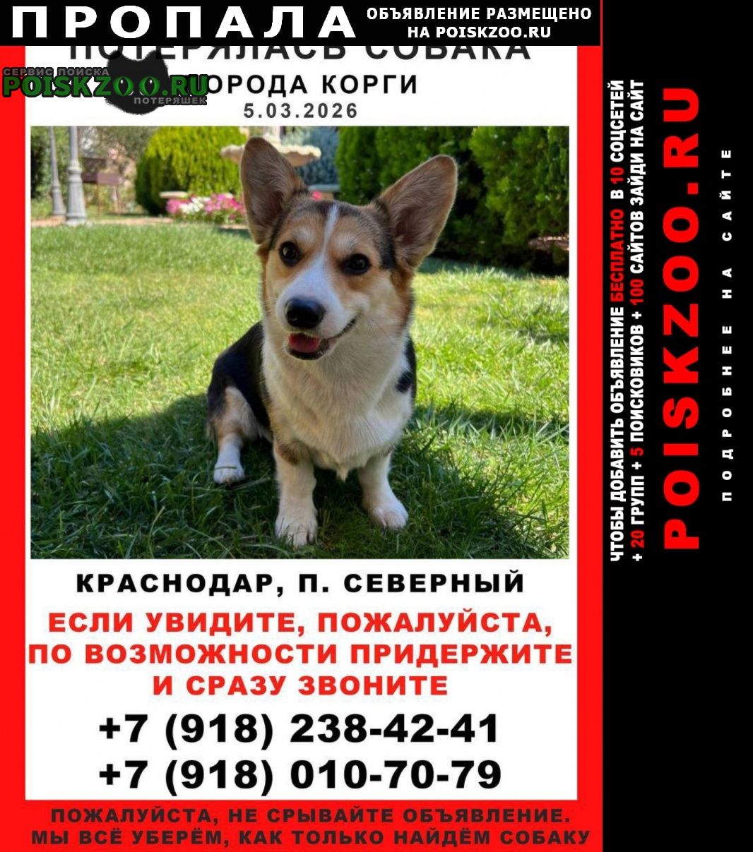 ���� ������� ������ ��� ������� ����