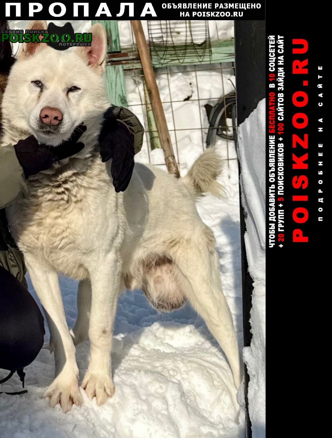 ���� ������� ������ ������