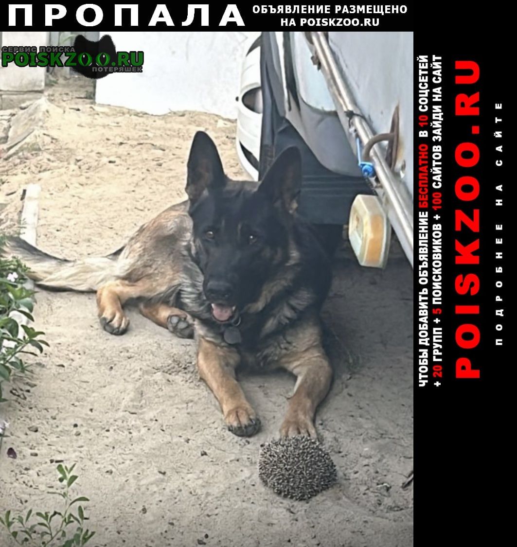 ���� ������� ������ �������� �������