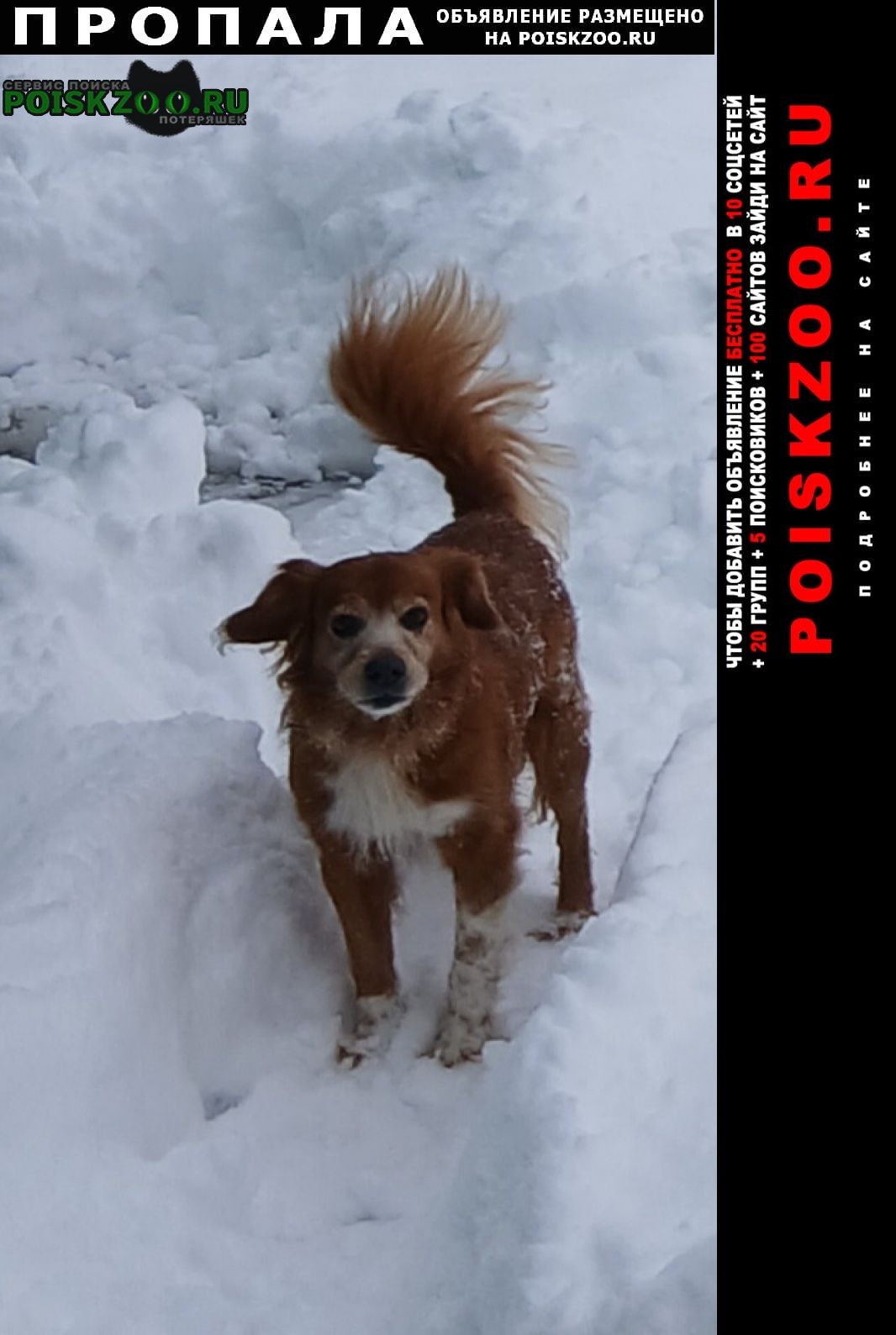 ���� ������� ������ ������