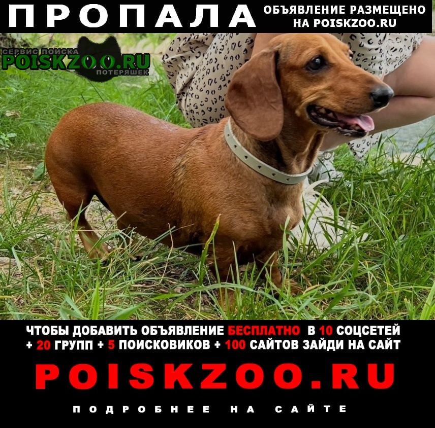 ���� ������� ������ ����� �� ������ ����