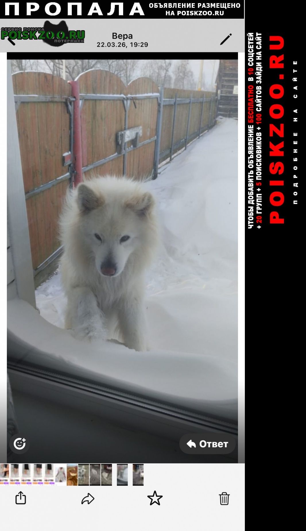 ���� ������� ������ ������ ����� ��������� ��� ������ �����������