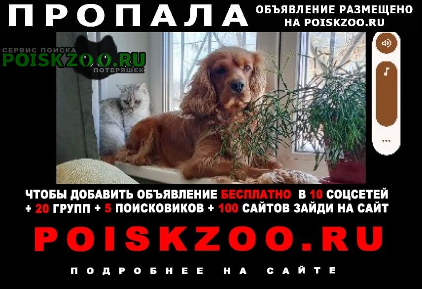 ���� ������� ������ ������ ����