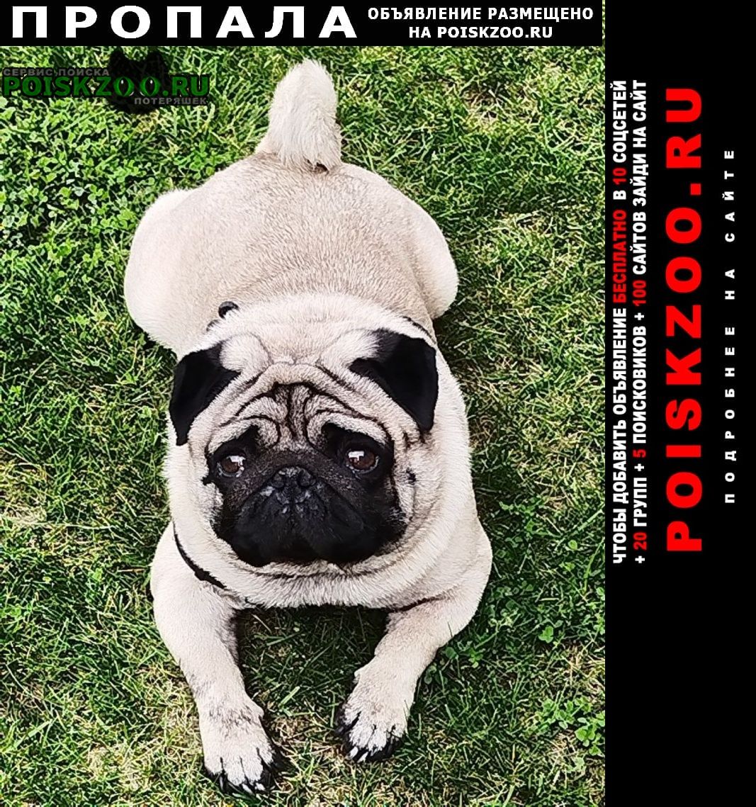 ���� ������� ������ ������ ������ ������ ������.