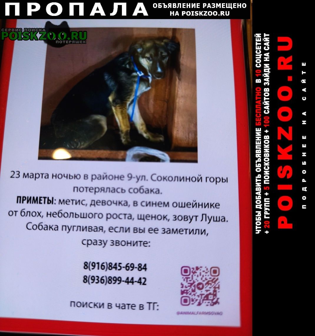 ���� ������� ������. �. �����. �������.