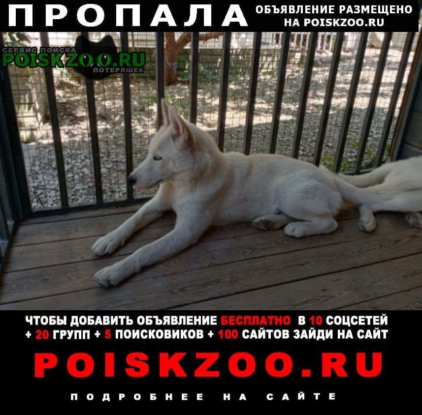 ���� ������� ������ ����� �����, �������