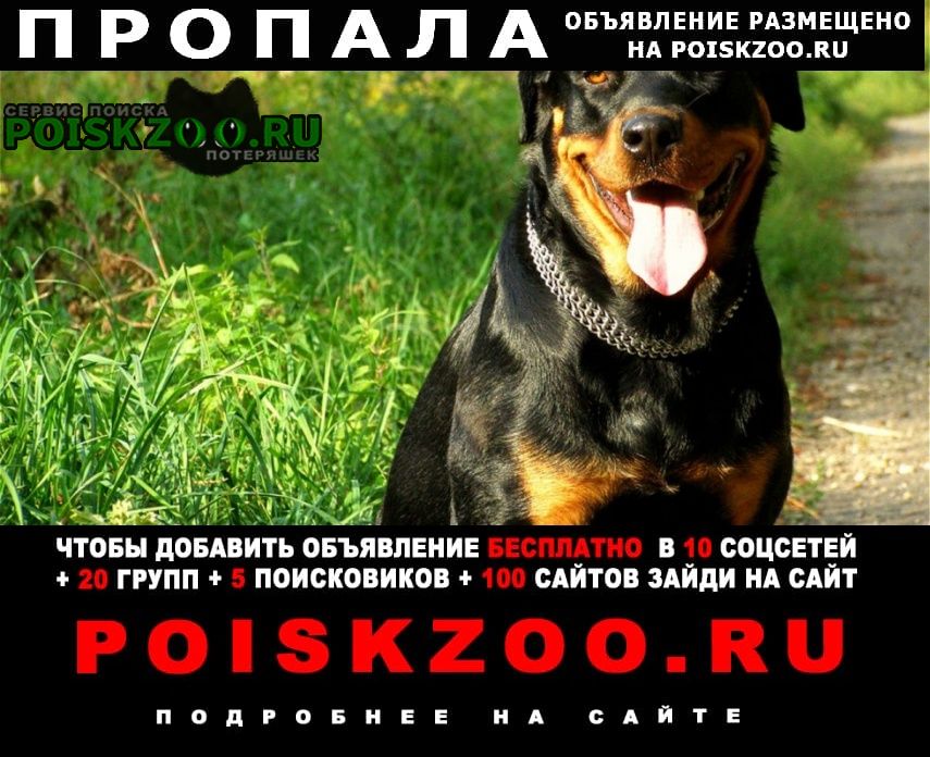 ���� ������� ������