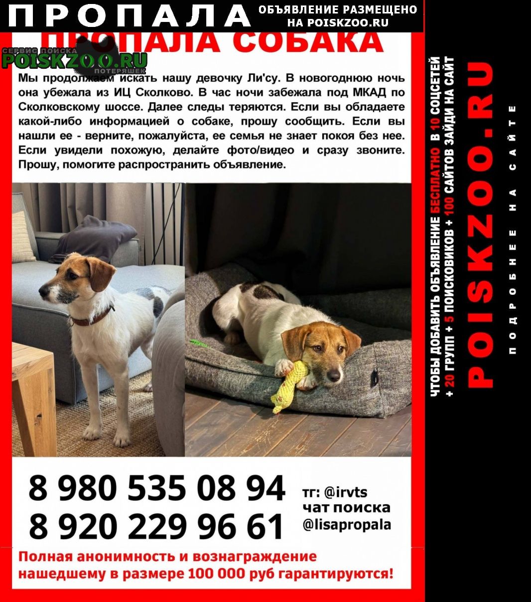 ���� ������� ������ ����� � ��� �����.