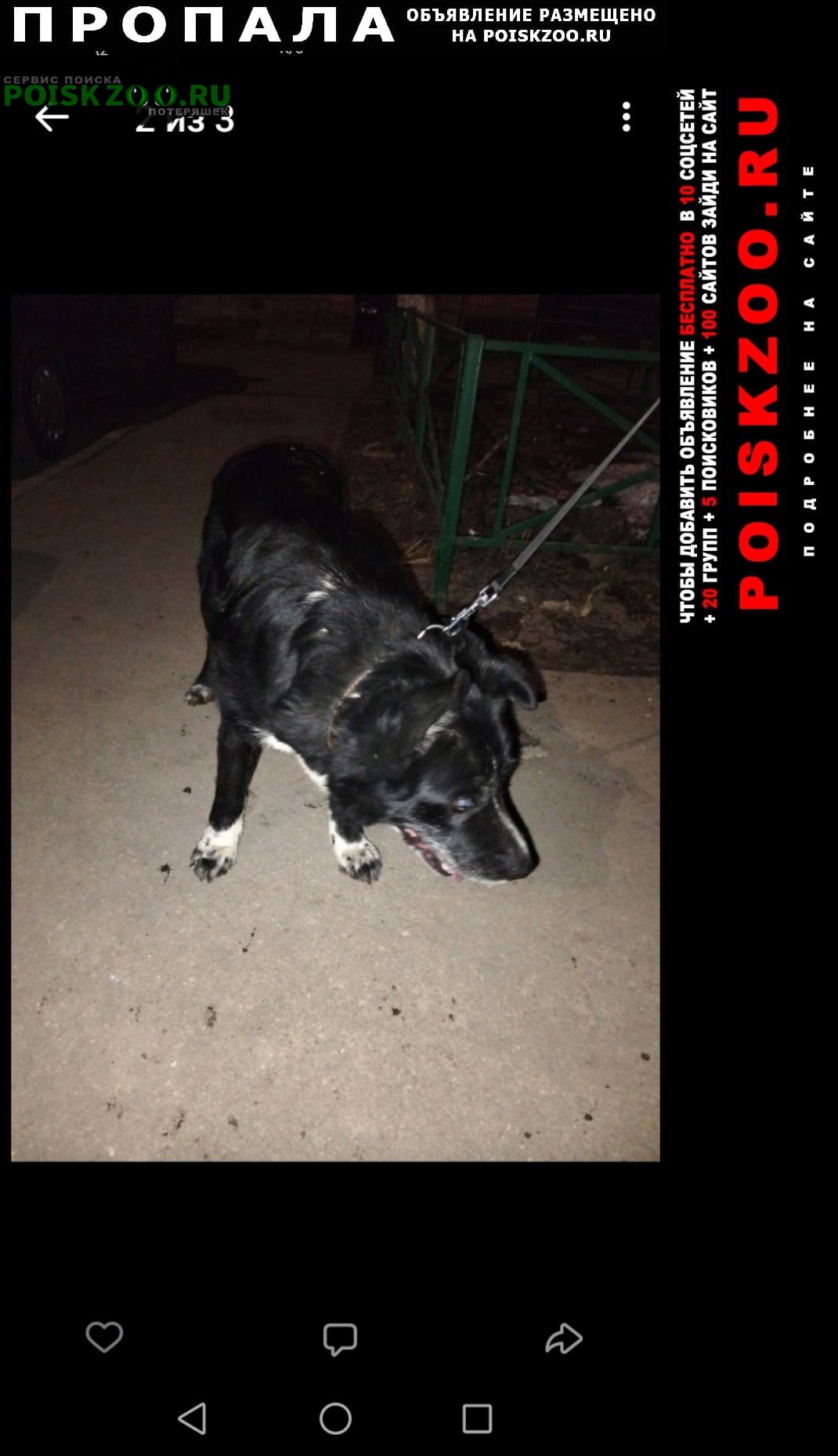 ���� ������� ������. ������. ������. ��������