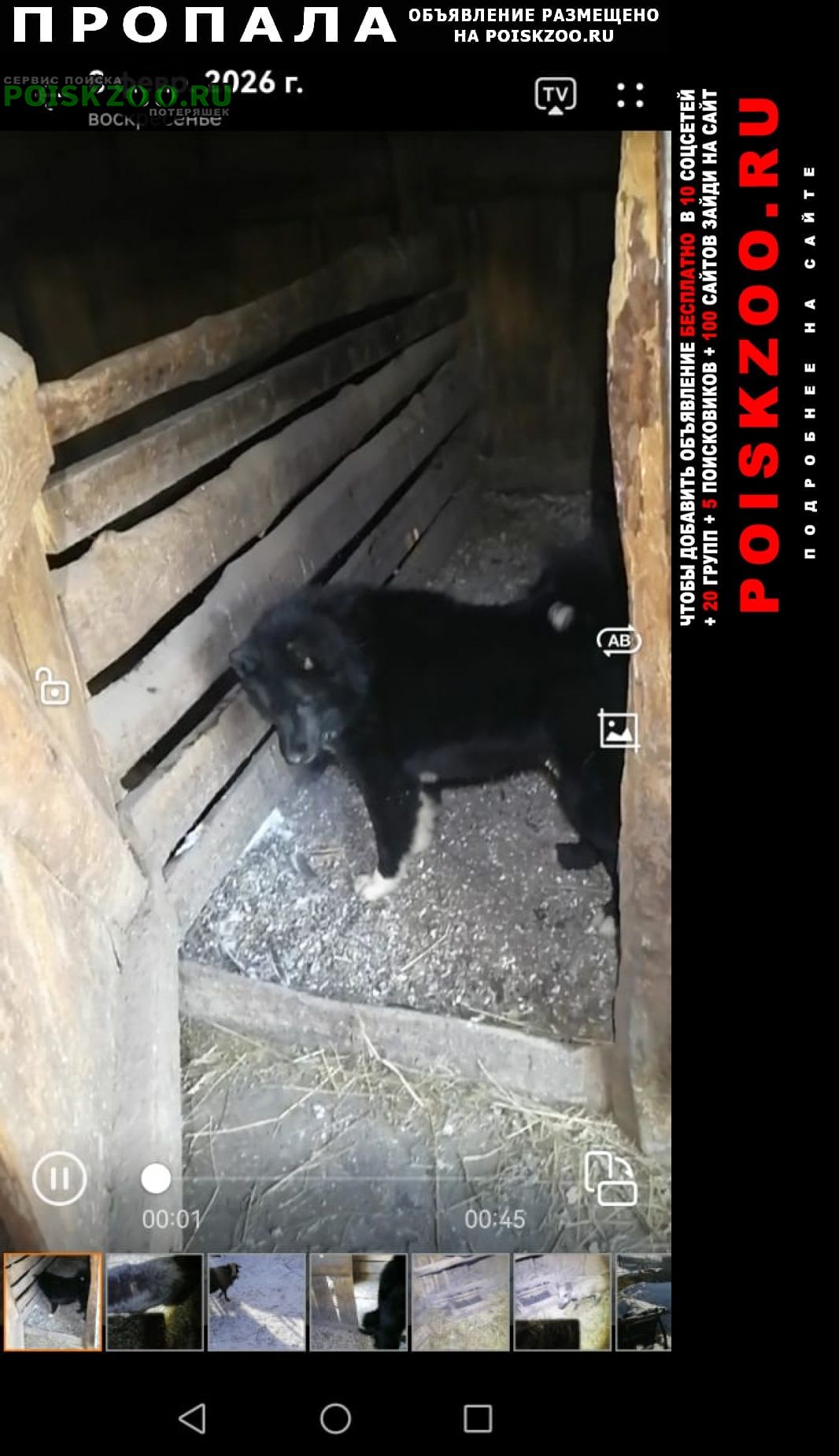 ���� �������� �����