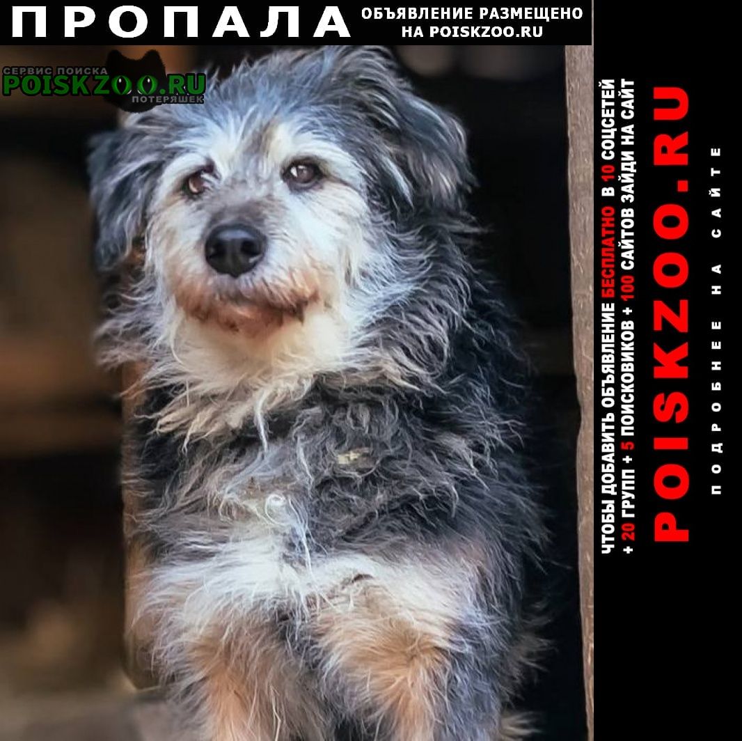 ���� ������� ������